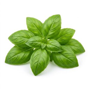 Basil Sweet Italian