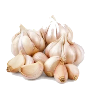 Bawang Putih Kating