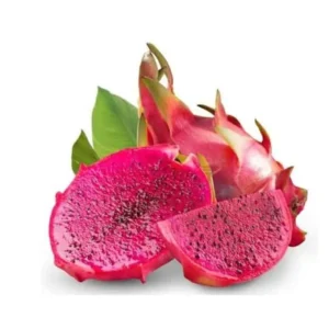 Buah Naga Merah