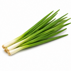 Daun Bawang Sedang