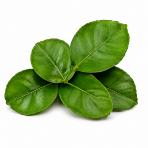 Daun Jeruk