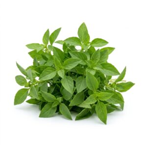 Daun Kemangi