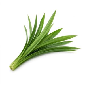 Daun Pandan