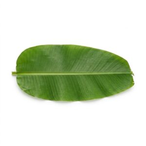 Daun Pisang