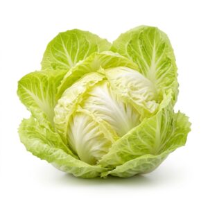 Endive