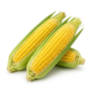 Jagung Manis