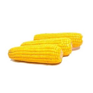 Jagung Manis Kupas
