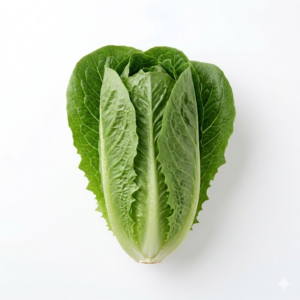 Romaine
